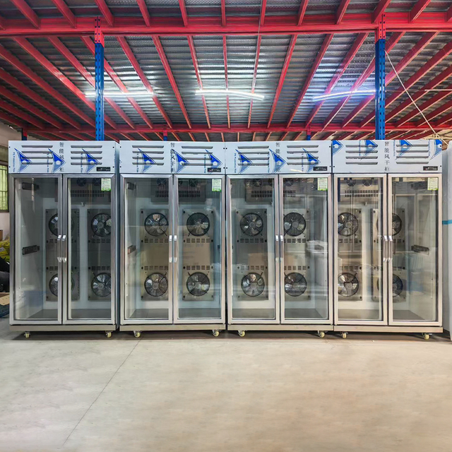 Smart Air-drying Two-door Cabinet