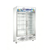 Bottom-Mounted Double Door Display Refrigerator