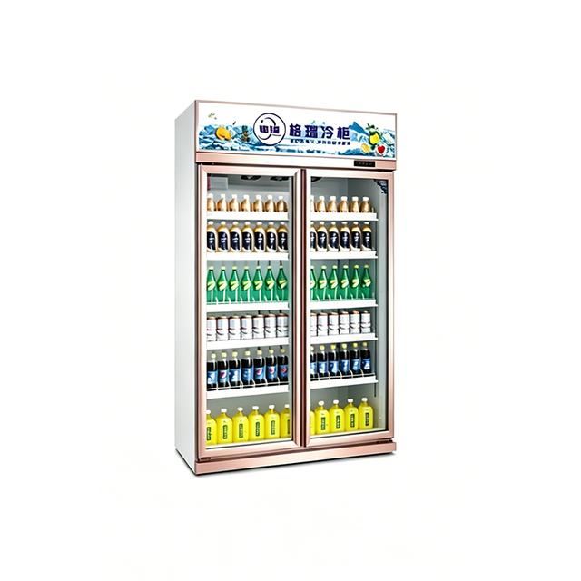 Top-Mounted Double Door Display Refrigerator