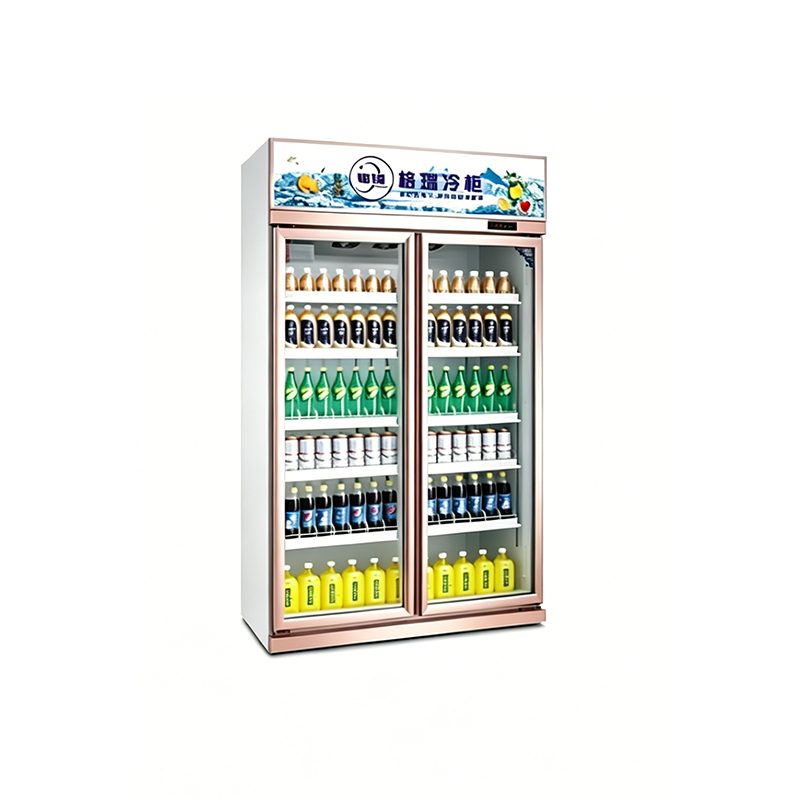 Top-Mounted Double Door Display Refrigerator
