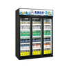 Deluxe Double-door Single-frame Display Refrigerator