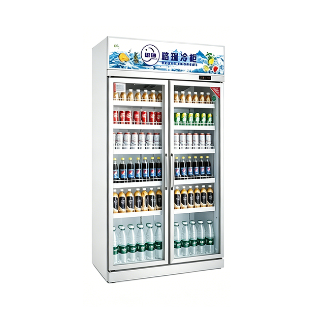 Deluxe Double-door Single-frame Display Refrigerator