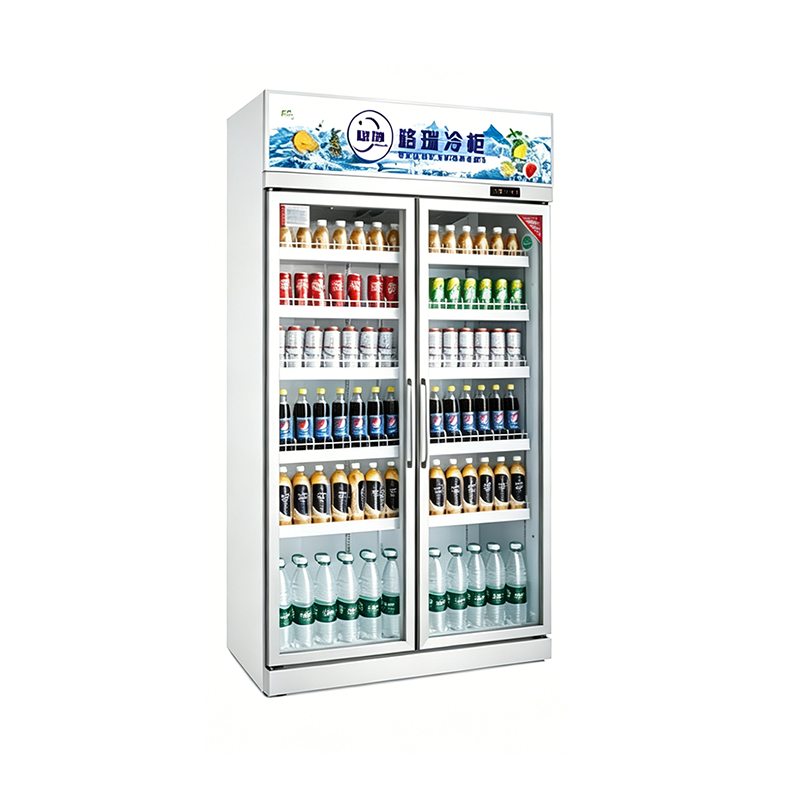 Deluxe Double-door Single-frame Display Refrigerator